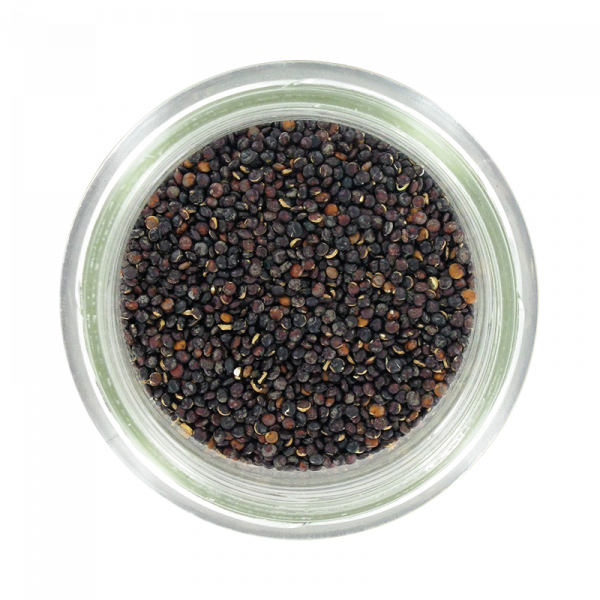 QUINOA NOIR BIO 12.5KG