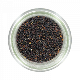 QUINOA NOIR BIO 1KG