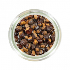GUARANA SEMENCES BIO