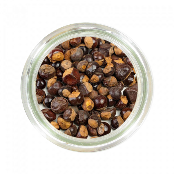 GUARANA SEMENCES BIO GUARANA SEMENCES BIO