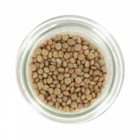 LENTILLES BLONDES 1KG