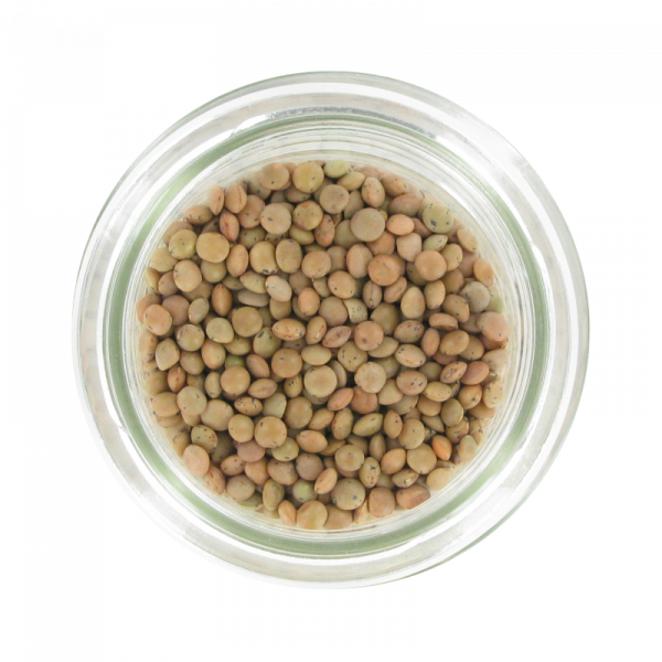 LENTILLES BLONDES 1KG
