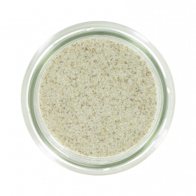 PSYLLIUM BIO 500G
