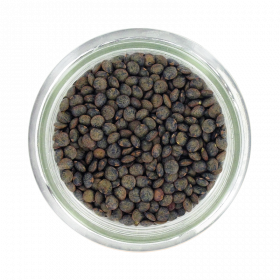 LENTILLES VERTES