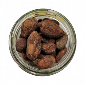 FÈVES DE CACAO BIO 10KG