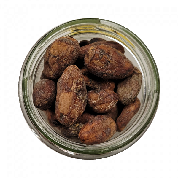 FÈVES DE CACAO BIO VRAC