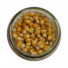 MAIS POP CORN BIO VRAC