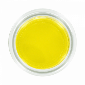 HUILE D'OLIVE EXTRA VIERGE BIO 5L