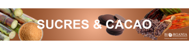 SUCRES & CACAO