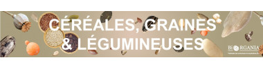 CÉRÉALES, GRAINES & LÉGUMINEUSES